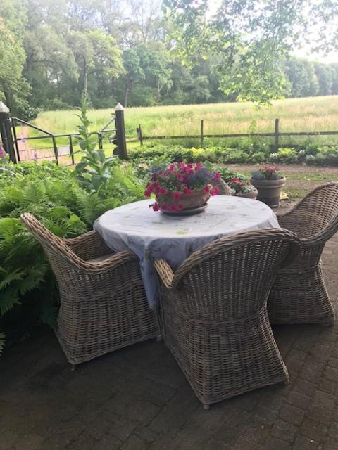 Erve Nijkamp Villa Tubbergen Luaran gambar